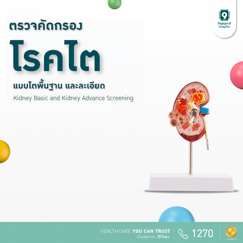 แพ็กเกจตรวจคัดกรองโรคไต